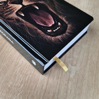 image_00b86e68-fe0b-4fc3-a61e-d07069bfc931