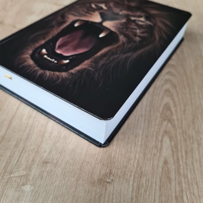 image_4916efa5-4958-46e3-9b6f-121481bf05ab