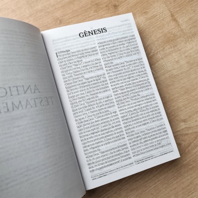 image_75ba528a-88e6-4177-b496-6981e1302a68