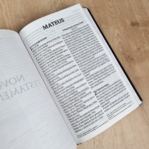 Bíblia Sagrada Leão Forte | NVI | Letra Grande | Capa Dura