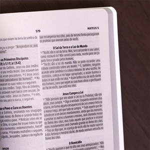 Bíblia Sagrada Leão Forte | NVI | Letra Normal | Capa Brochura