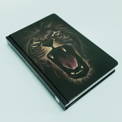 image_d970f335-2ac7-4132-8626-a3c032012001