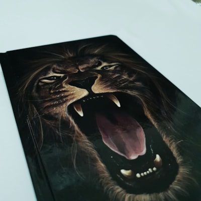 image_2dbea99f-0d1f-469c-9b01-f7167c5b210b