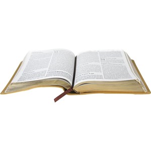 Bíblia Sagrada Leão Marrom | NAA | Letra Grande | Capa Dourada Luxo