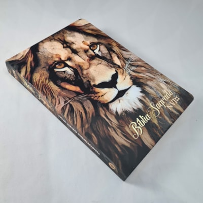 image_2dda5f87-cc8c-4669-a9e6-89b04c58dd56