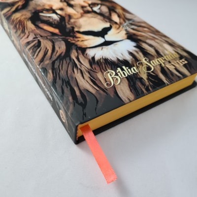 image_49c56c29-99f8-46b2-b080-76ff26fdd946