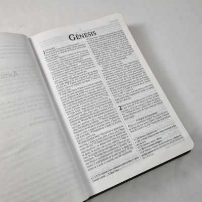 image_65b3bd74-247d-460b-a8ab-03fcc88a1b49