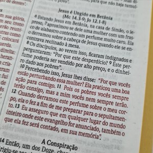 Bíblia Sagrada Leão Marrom| NVI | Capa Soft Touch