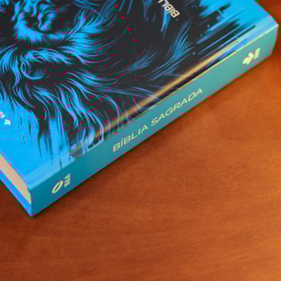 image_0f86432b-3956-4392-828c-3bbc1b14b20a