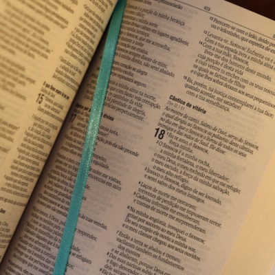 image_52d33900-03dc-4b1f-91c0-5b6665ae838a