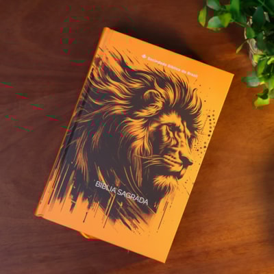 image_c071cc63-4da9-49fe-b75f-cfda33f92922