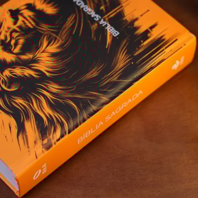 image_22bfb8e2-c739-4b87-8e2d-8b473130752b