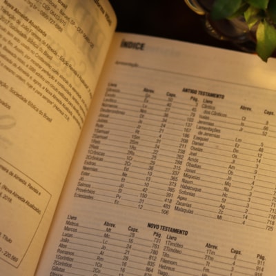 image_92035cb4-cbef-492e-ad39-494d3a901e10