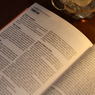 image_deefa599-672e-4ee9-bb32-6f43f94a01e7