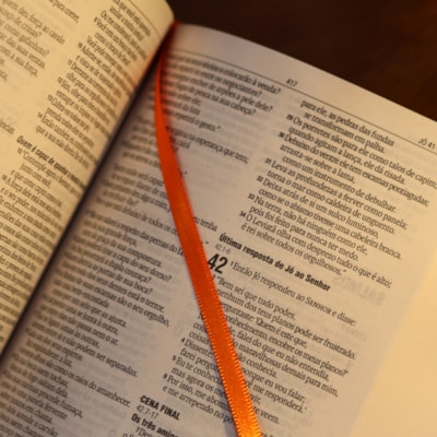 image_e6dd13a0-9da2-4c4a-8980-593d9d03f219