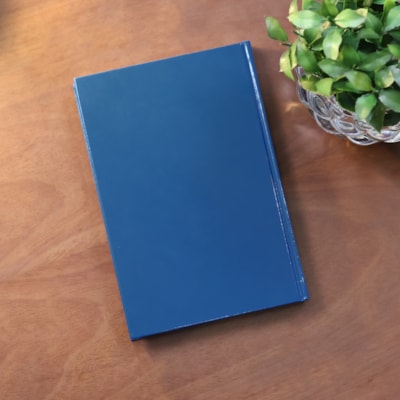 image_25967f0e-dc5d-4e7d-b98e-2acdd8deb4a4