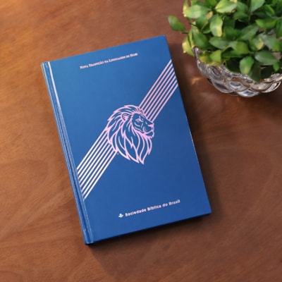 image_8a511204-261c-45e3-8c8f-73ab6ca27e61