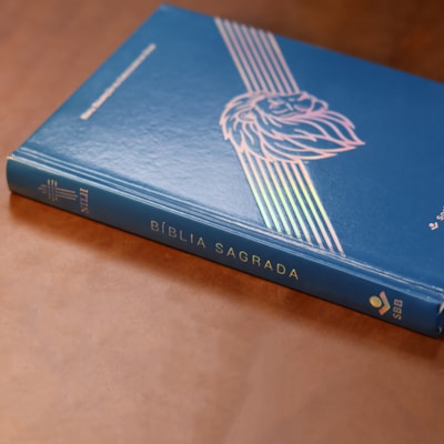 image_5f0d7835-88e4-4d4a-8fb6-4e147d3d8ca5