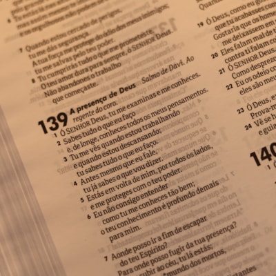 image_61ff7d1b-d265-47e7-8390-71bc0bc2b374