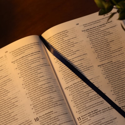 image_4542bec3-9a49-49dd-b892-70396312956c