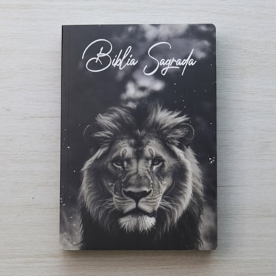 image_72dd6f1d-b50b-40a8-9223-c6eebca5b805