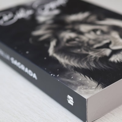 image_5e1ae4ea-2d9c-454f-a142-78dd65352da8