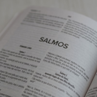 image_312da842-761b-4725-8dd0-5fc4c6377217