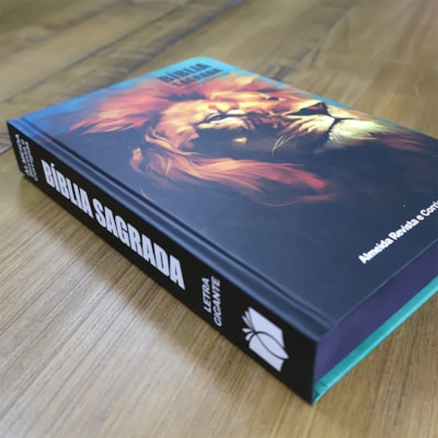 image_fd46c422-d852-4b65-bcb0-c2b8fead3b8b