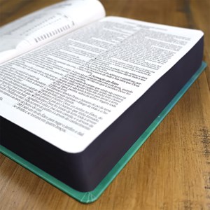 Bíblia Sagrada Leão Pintura | ARC | Letra Grande| Capa Dura | Harpa Avivada e Corinhos