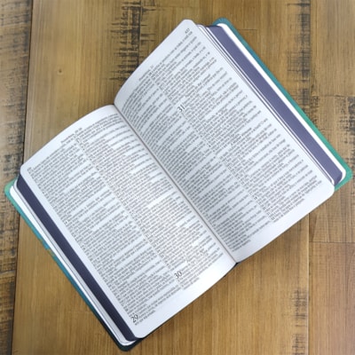 image_afada232-f204-45b0-849e-b7ef9f609efb