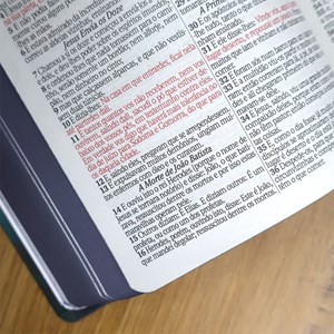 Bíblia Sagrada Leão Pintura | ARC | Letra Grande| Capa Dura | Harpa Avivada e Corinhos