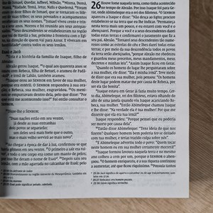 Biblia Sagrada Leão Pop | NVI | Letra Normal | Capa Brochura