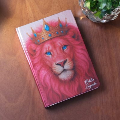 image_2be04036-5557-431d-873b-8cadab473dd9