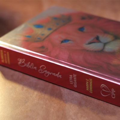 image_71d0fa6a-4248-4f31-b353-74f39869d1d8