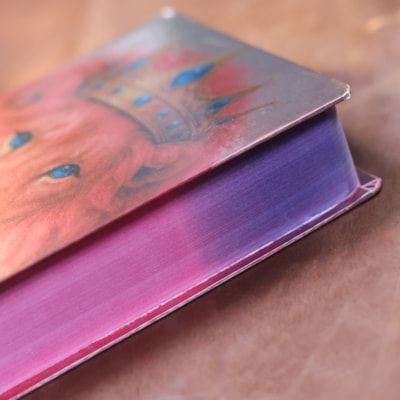 image_bb53abbb-f101-4a35-b430-a3edd442ef22