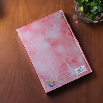 image_54b1f946-e433-4b47-bb4f-1bb8070402c9