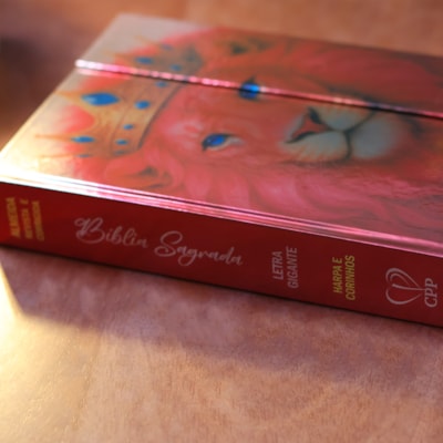 image_0cacf1e4-8c94-48c4-899b-c5beda27087b