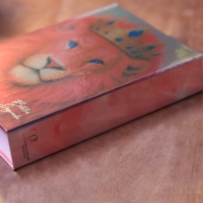 image_5f4d7b05-4b96-405a-a397-526f588fce16