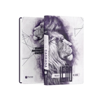 image_6ae240fe-a13e-47fc-8e48-c91ecf1100ab