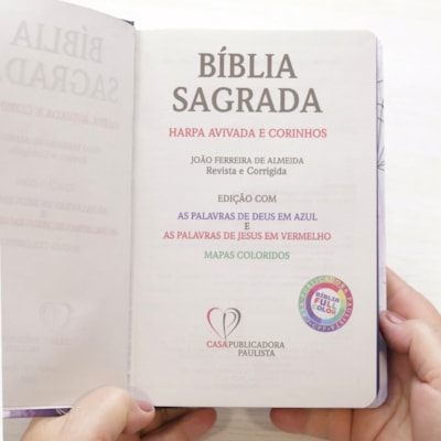 image_996e8355-b18d-4863-b4ad-d2defb618ed8