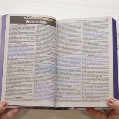 image_221e5aac-2044-4a43-9b68-dbc1e6f27efb