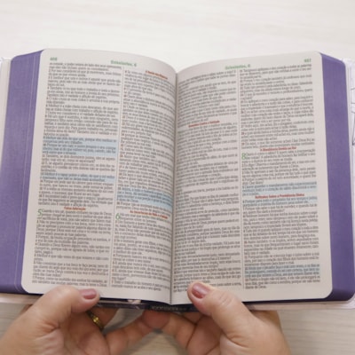 image_32e56cd1-8b09-4001-80b8-8ca5bd36fd07