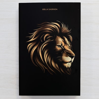 image_5a2c56e3-e9b2-471d-8666-3e01a4b486a0