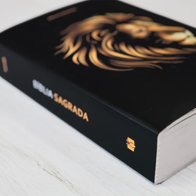 image_a1ea9a88-1f03-4ab9-8672-a2eecd5e5f41