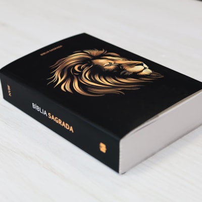 image_ad44a391-0e40-4fcf-8516-d93f98a7c2ce