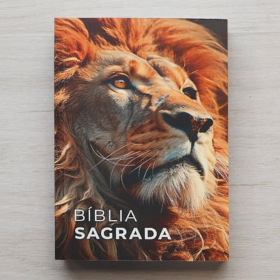 image_e315bc88-5cf1-44e3-98c8-552123ccdbab