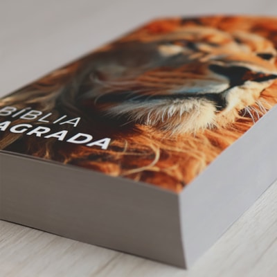 image_0d4c08c3-9cc8-4ee8-afde-adb94aad2e9b