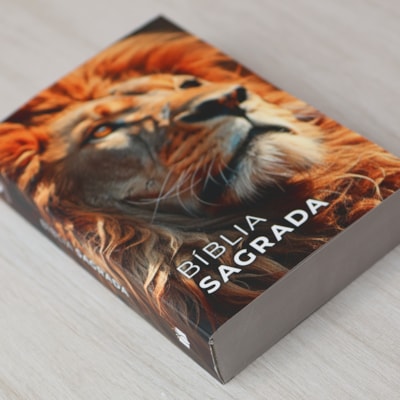 image_8e802083-b9d4-4156-a265-82b35b5cee0b