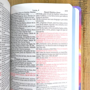 Bíblia Sagrada Leão Tinta Óleo | ARC | Letra Grande| Capa Dura | Harpa Avivada e Corinhos