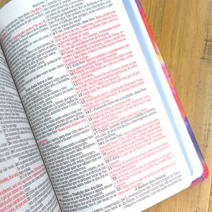 Bíblia Sagrada Leão Tinta Óleo | ARC | Letra Grande| Capa Dura | Harpa Avivada e Corinhos